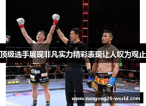 顶级选手展现非凡实力精彩表现让人叹为观止