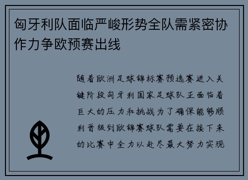匈牙利队面临严峻形势全队需紧密协作力争欧预赛出线