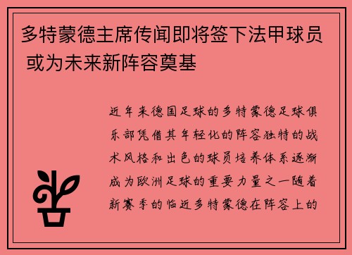 多特蒙德主席传闻即将签下法甲球员 或为未来新阵容奠基