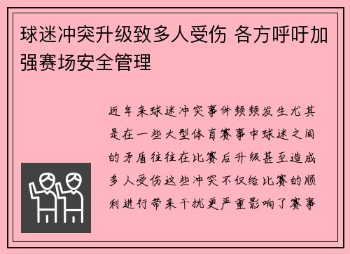 球迷冲突升级致多人受伤 各方呼吁加强赛场安全管理