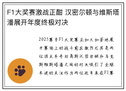 F1大奖赛激战正酣 汉密尔顿与维斯塔潘展开年度终极对决